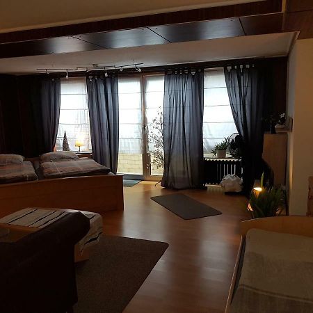 Koln-Bonn Appartment Wesseling Exteriér fotografie