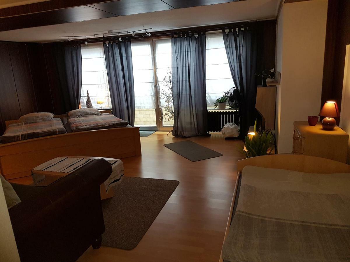 Koln-Bonn Appartment Wesseling Exteriér fotografie